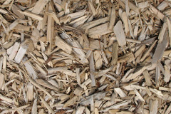 biomass boilers Fullerton
